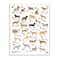 Stupell Industries Chic Alphabet of Dogs with Floral Detail Wall Art